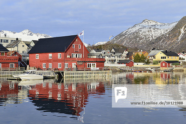 Häuser am Hafen mit Bergpanorama  Svolvær  Insel Austvågøy  Lofoten  Nordland  Norwegen  Europa