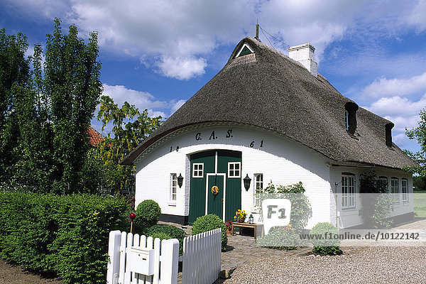 Reetdachhaus  Sieseby  Schlei  Schleswig-Holstein  Deutschland  Europa