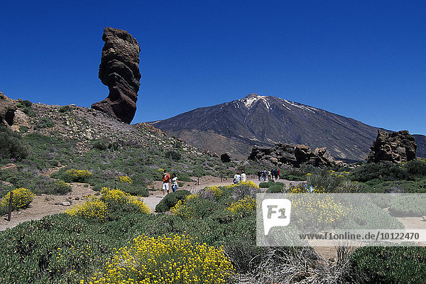Los Roques and Teide Volcano  National Park  Tenerife  Canary Islands  Spain  Europe