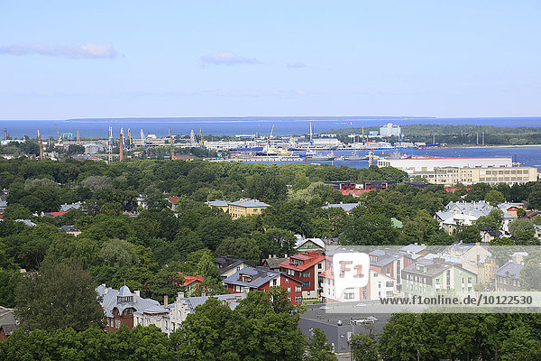 Ostseeküste mit westlichen Häfen Tallinns  Ausblick vom Turm der Olaikirche  Oleviste Kirik  Tallinn  Estland  Europa