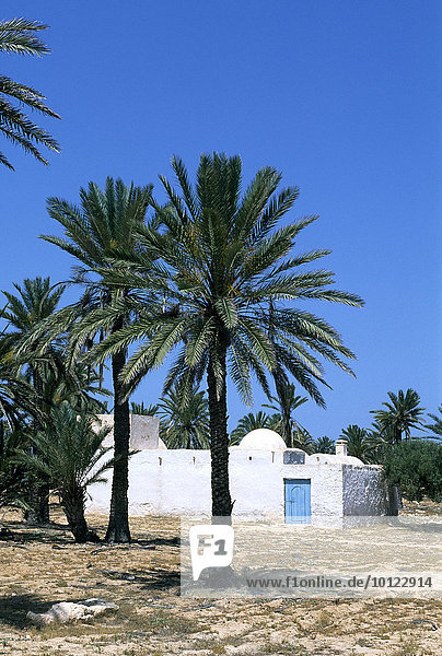 Traditionelles Bauernhaus Menzel  Midoun  Djerba  Tunesien  Afrika
