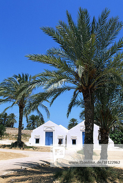 Traditional farmhouse  menzel  Djerba  Tunisia  Africa