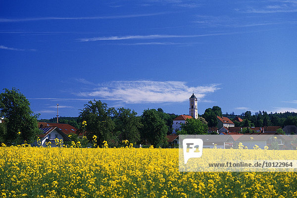 Ortsansicht von Bad Birnbach im Rottal  Niederbayern  Deutschland  Europa