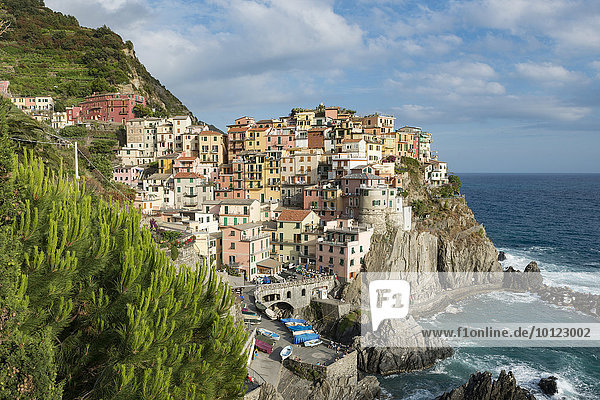Ortsansicht  UNESCO-Weltkulturerbe  Manarola  Nationalpark Cinque Terre  Ligurien  Italien  Europa