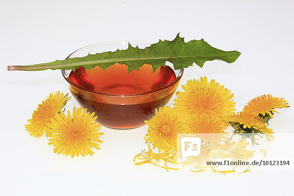 Schale mit Löwenzahnsirup oder Löwenzahnhonig und Blüten (Taraxacum officinale)