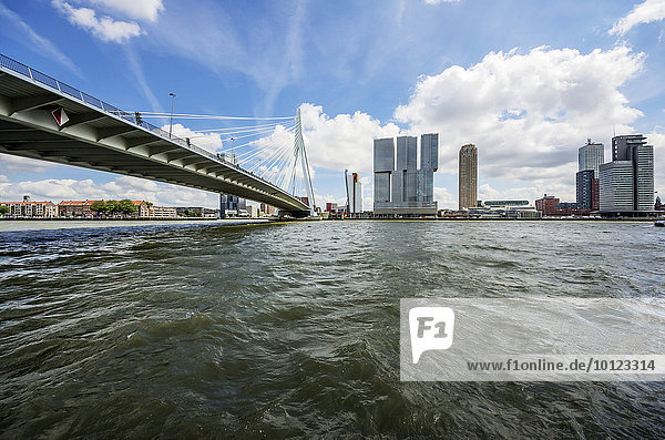 Skyline with Erasmus bridge or Erasmusbrug  New Meuse  Rotterdam  Holland  The Netherlands  Europe