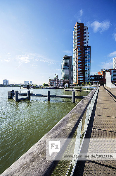 Moderne Architektur am Neue Maas Fluss  Ortsteil Feijenoord  Rotterdam  Holland  Niederlande  Europa