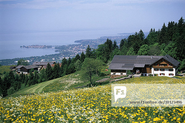 Haus  Blumenwiese  Lindau  Bodensee  Bayern  Deutschland  Europa