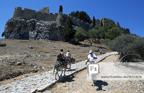 Donkey ride to the Acropolis  Lindos  Rhodes Island  Dodecanese Islands Chain  Greece  Europe