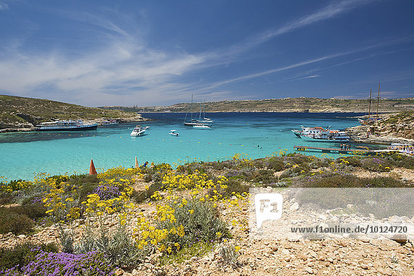 Blue Lagoon of Comino  Malta  Europe