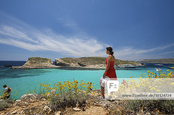 Blaue Lagune von Comino  Malta  Europa