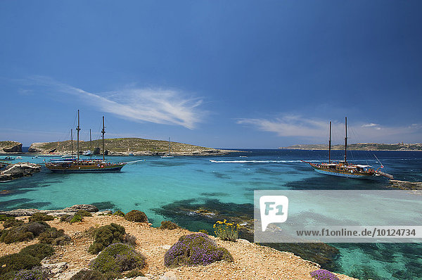 Ausflugsschiffe in der Blauen Lagune von Comino  Malta  Europa