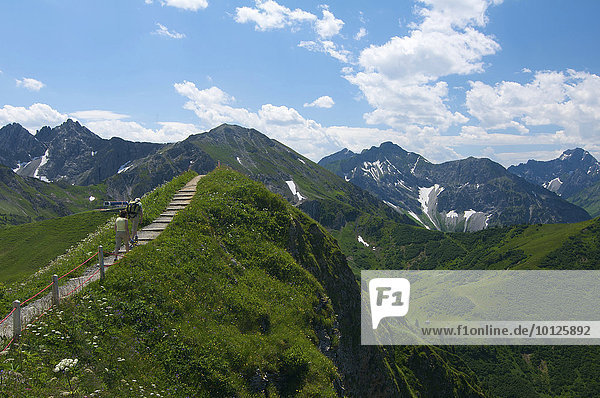 Weg von der Kanzelwand zum Fellhorn  Kleinwalsertal  Allgäu  Vorarlberg  Österreich  Europa