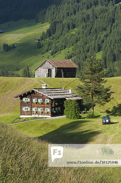 Bauernhof bei Hirschegg im Kleinwalsertal  Allgäu  Vorarlberg  Österreich  Europa