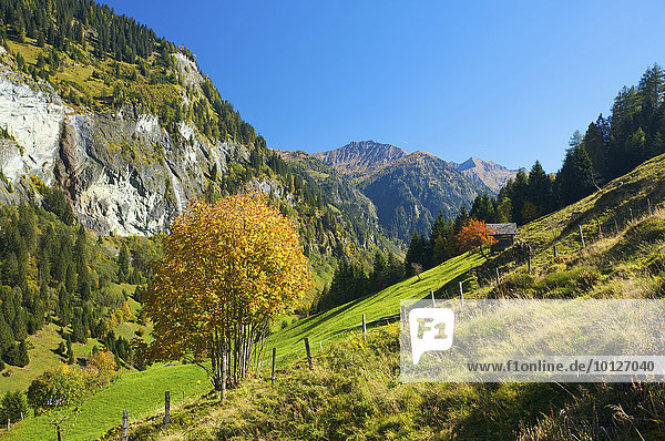 Blick auf Hüttschlag im Großarltal im Pongau im Salzburger Land  Österreich  Europa