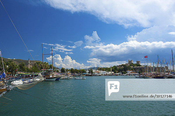 Gulet boats in the marina and St. Peter's castle in Bodrum  Turkish Aegean Coast  Turkey  Asia