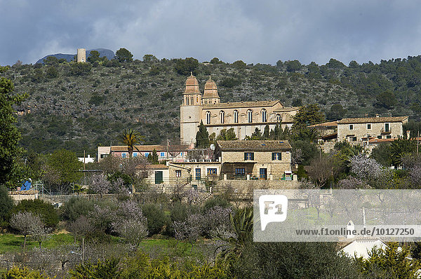 Es Capdella während der Mandelblüte  Mallorca  Balearen  Spanien  Europa
