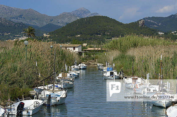 Kleiner Fischerhafen im Fluss  Port d'Andratx  Mallorca  Balearen  Spanien  Europa