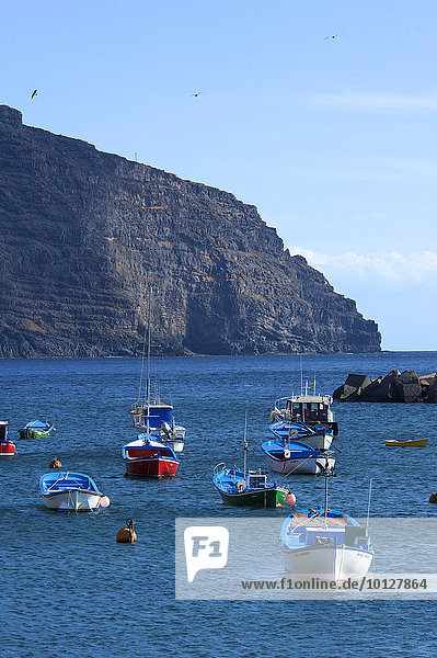 Fischerboote im Hafen von Vueltas  Valle Gran Rey  La Gomera  Kanaren  Spanien  Europa