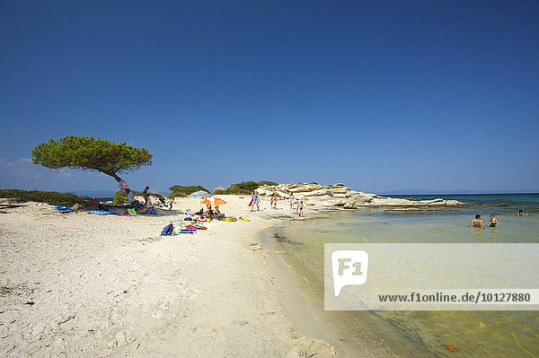 Strand  Karidi Beach  Vouvourou  Sithonia  Chalkidiki  Griechenland  Europa