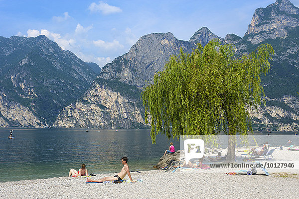 Beach promenade at Lake Garda  Torbole  Lago di Garda  Italy  Europe