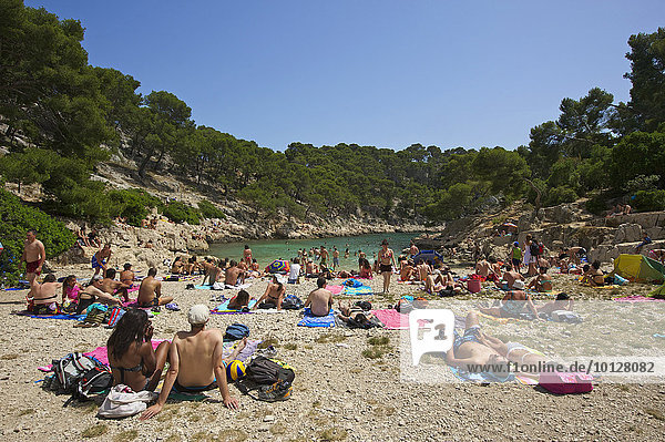 Bathers on the beach in the Calanque de Port-Pin cove  Calanques National Park  Cassis  Département Bouches-du-Rhône  Region Provence-Alpes-Côte d?Azur d?Azur  France  Europe