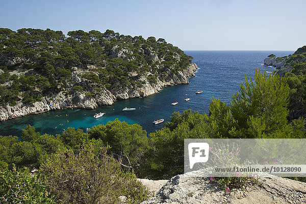 Boote in der Felsbucht Calanque de Port-Pin  Nationalpark Calanques  Cassis  Département Bouches-du-Rhône  Region Provence-Alpes-Côte d?Azur  Frankreich  Europa