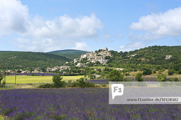 Lavendelfeld mit Dorf  Simiane la Rotonde  Provence  Region Provence-Alpes-Côte d?Azur  Frankreich  Europa