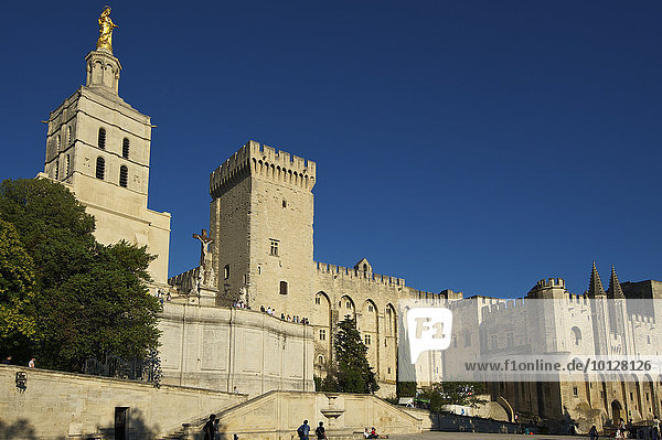 Papstpalast  Avignon  Provence  Region Provence-Alpes-Côte d?Azur  Frankreich  Europa