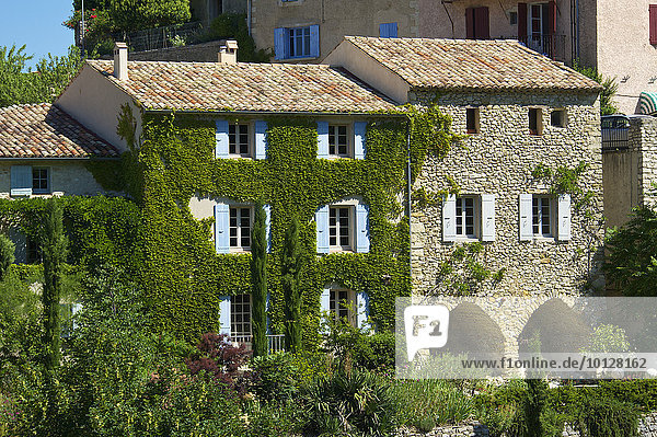 Haus mit Efeu in einem Dorf  Provence  Aurel  Département Vaucluse  Provence-Alpes-Côte d?Azur  Frankreich  Europa