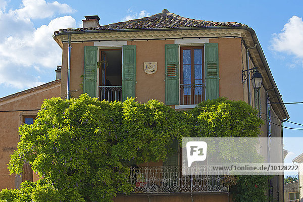 Altes Haus mit Glyzinie  Riez  Provence  Region Provence-Alpes-Côte d?Azur  Frankreich  Europa