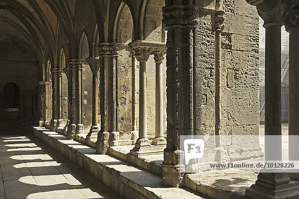 Kreuzgang der Kathedrale St. Trophime  Arles  Département Bouches-du-Rhône  Region Provence-Alpes-Côte d?Azur  Frankreich  Europa