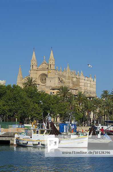Kathedrale La Seu und Fischerhafen  Palma de Mallorca  Mallorca  Balearen  Spanien  Europa