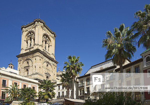 Plaza Romanilla mit dem Turm der Kathedrale von Granada,  Granada,  Andalusien,  Spanien,  Europa