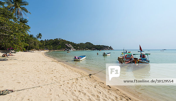 Longtail Boote am Sandstrand  türkises Meer  Insel Koh Tao  Golf von Thailand  Thailand  Asien