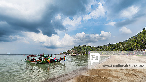 Longtail-Boote am Sandstrand mit Palmen  Insel Koh Tao  Golf von Thailand  Thailand  Asien
