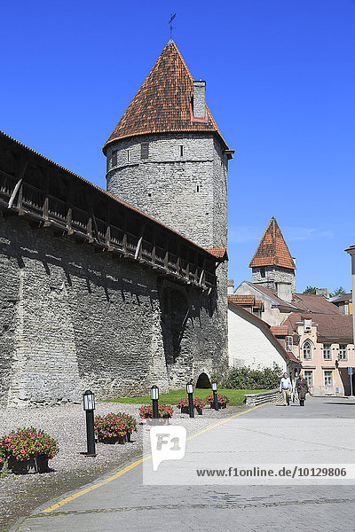 Stadtmauer mit Türmen am westlichen Rand der Unterstadt  Tallinn  Estland  Europa