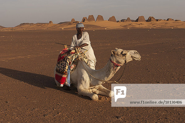 Einheimischer mit Dromedar im Sand  hinten Pyramiden von Meroë  nubische Wüste  Nubien  Nahr an-Nil  Sudan  Afrika