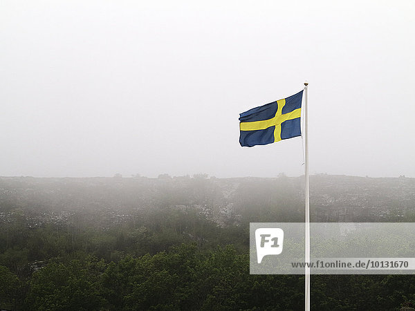 Tag Nebel Fahne schwedisch