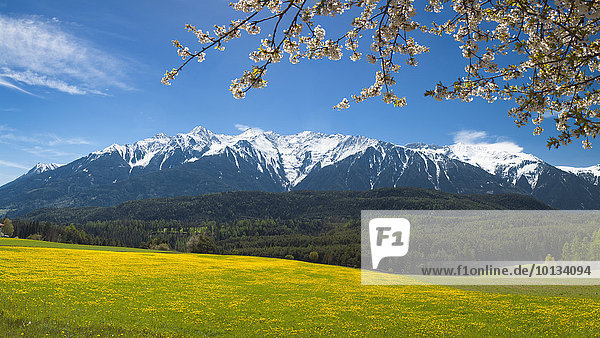 Mieminger Gebirge,  Tirol,  Österreich,  Europa