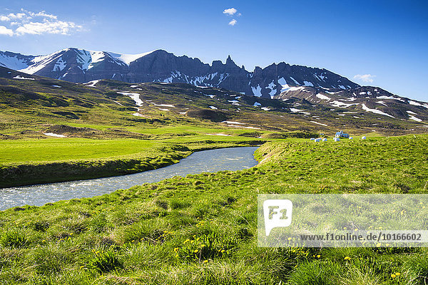 Landschaft mit grüner Wiese  Fluss und Berge bei Bakki  Nordisland  Island  Europa