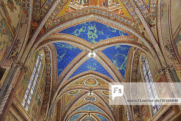 Deckengewölbe mit Fresken in der Oberkirche  Basilika San Francesco  Assisi  Provinz Perugia  Umbrien  Italien  Europa