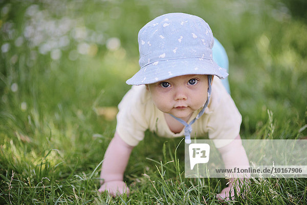 Baby  Junge  5 Monate  im Gras  Österreich  Europa