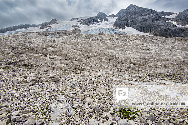 Vor dem Marmolada Gletscher  Ghiacciaio della Marmolada  Marmolata  Dolomiten  Trentino  Südtirol  Italien  Europa