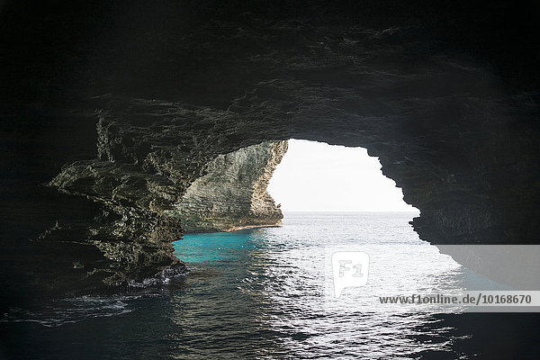 Meereshöhle  Bonifacio  Korsika  Frankreich  Europa