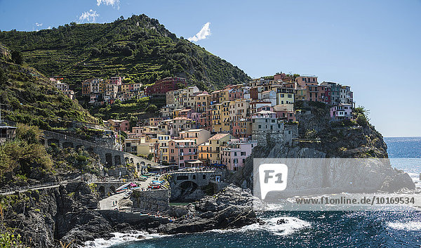 Bunte Häuser an Steilküste  Manarola  Cinque Terre  La Spezia  Ligurien  Italien  Europa