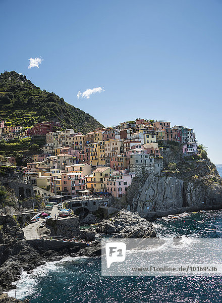 Bunte Häuser an Steilküste  Manarola  Cinque Terre  La Spezia  Ligurien  Italien  Europa