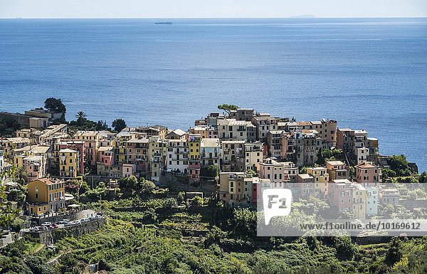 Corniglia mit Ausblick aufs Meer  Cinque Terre  La Spezia  Cinque Terre  Ligurien  Italien  Europa