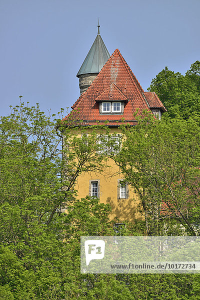 Schloss Burleswagen im Jagsttal  Gemeinde Satteldorf  Baden-Württemberg  Deutschland  Europa