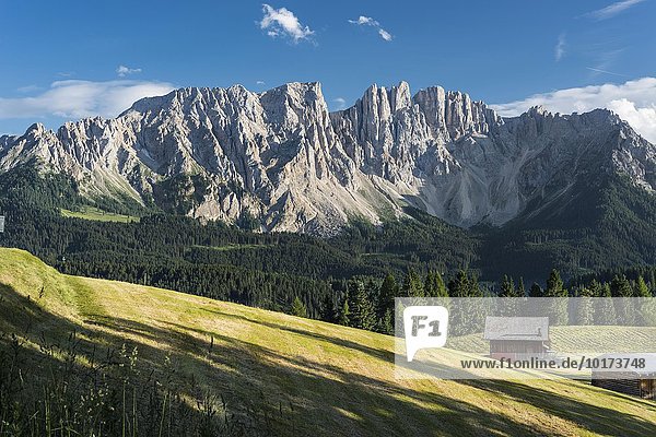 Latemar  Nordseite  vorne Wandergebiet Latemarwald  Dolomiten  UNESCO Weltnaturerbe  Alpen  Welschnofen  Nova Levante  Südtirol  Trentino-Alto Adige  Italien  Europa